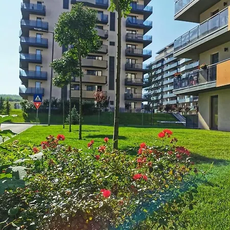 Apartment Apartamentul 116 *