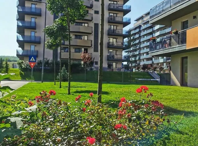 Apartment Apartamentul 116 *