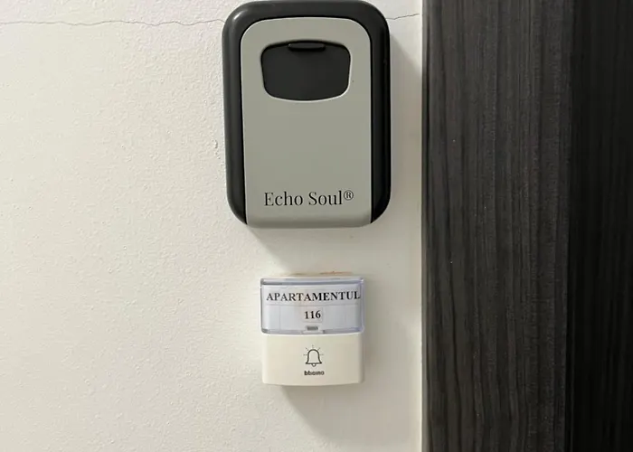 Apartment Apartamentul 116 Cluj-Napoca